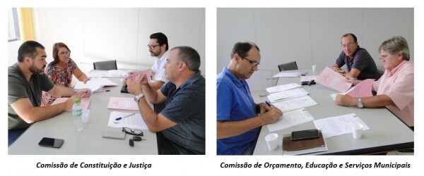 comissoes-permanentes-da-camara-analisam-projetos