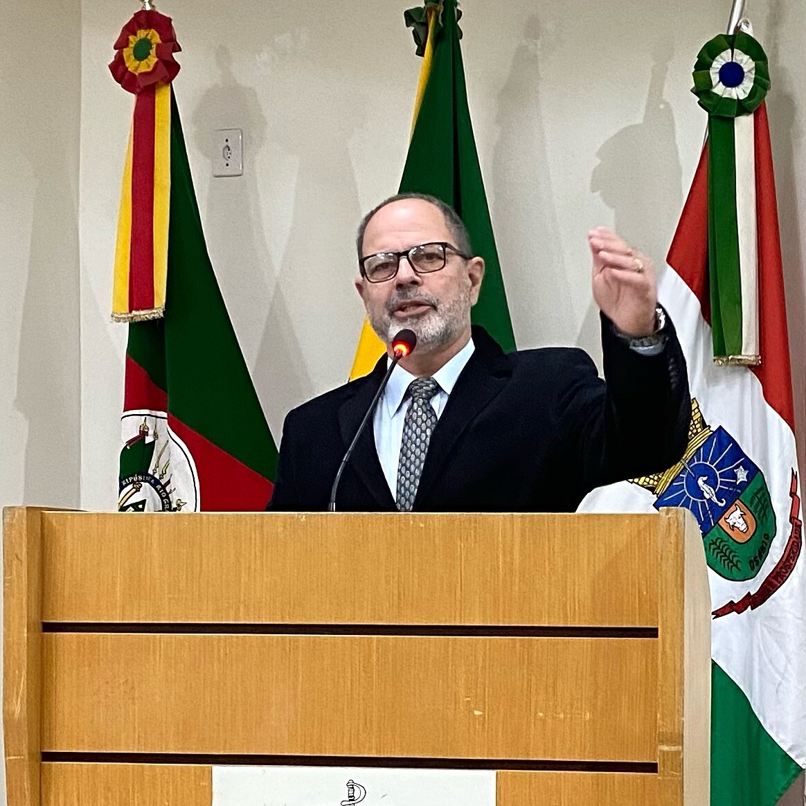➡ Vereadores aprovaram dois projetos de lei em sessão ordinária 7.jpg