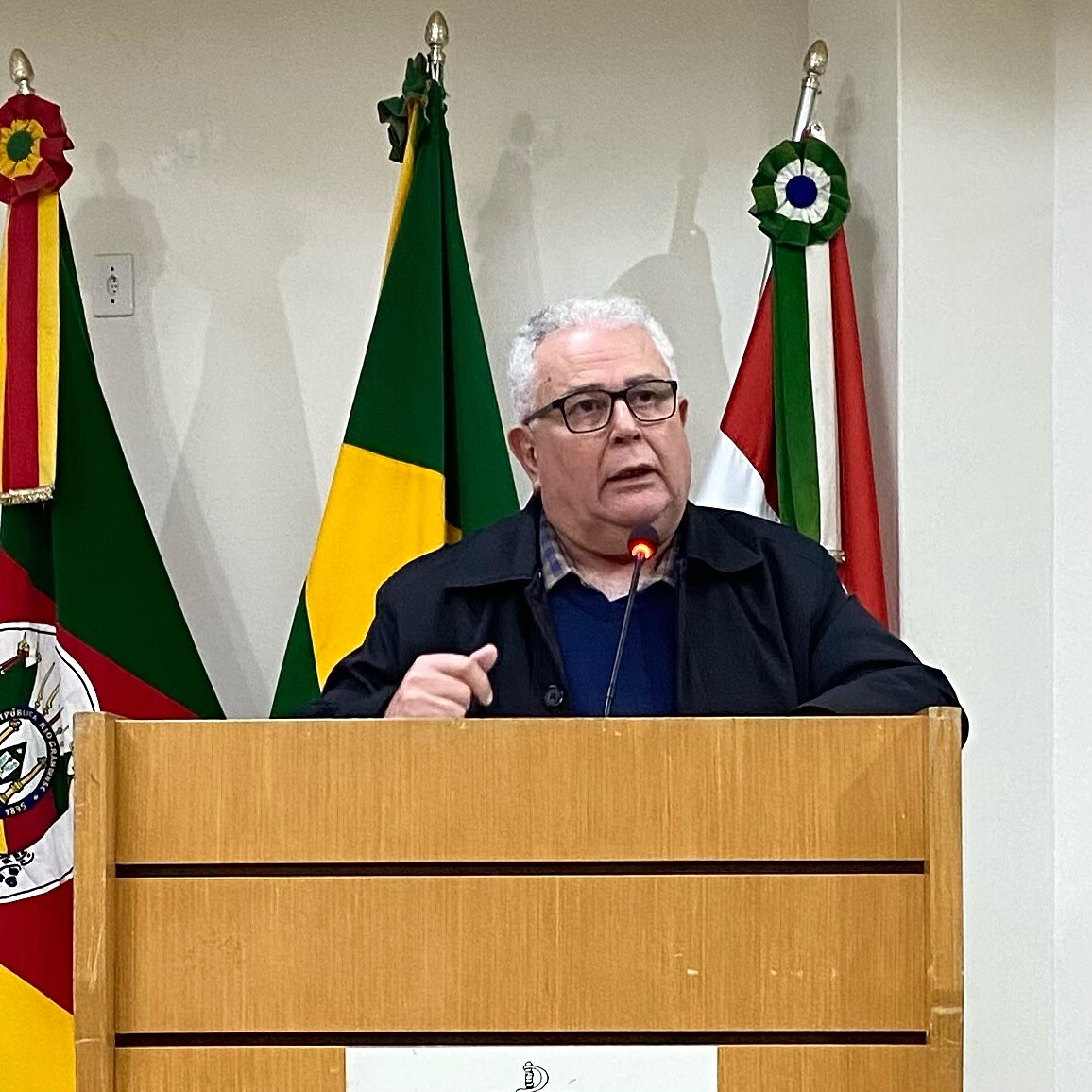 ➡ Vereadores aprovaram dois projetos de lei em sessão ordinária 2.jpg