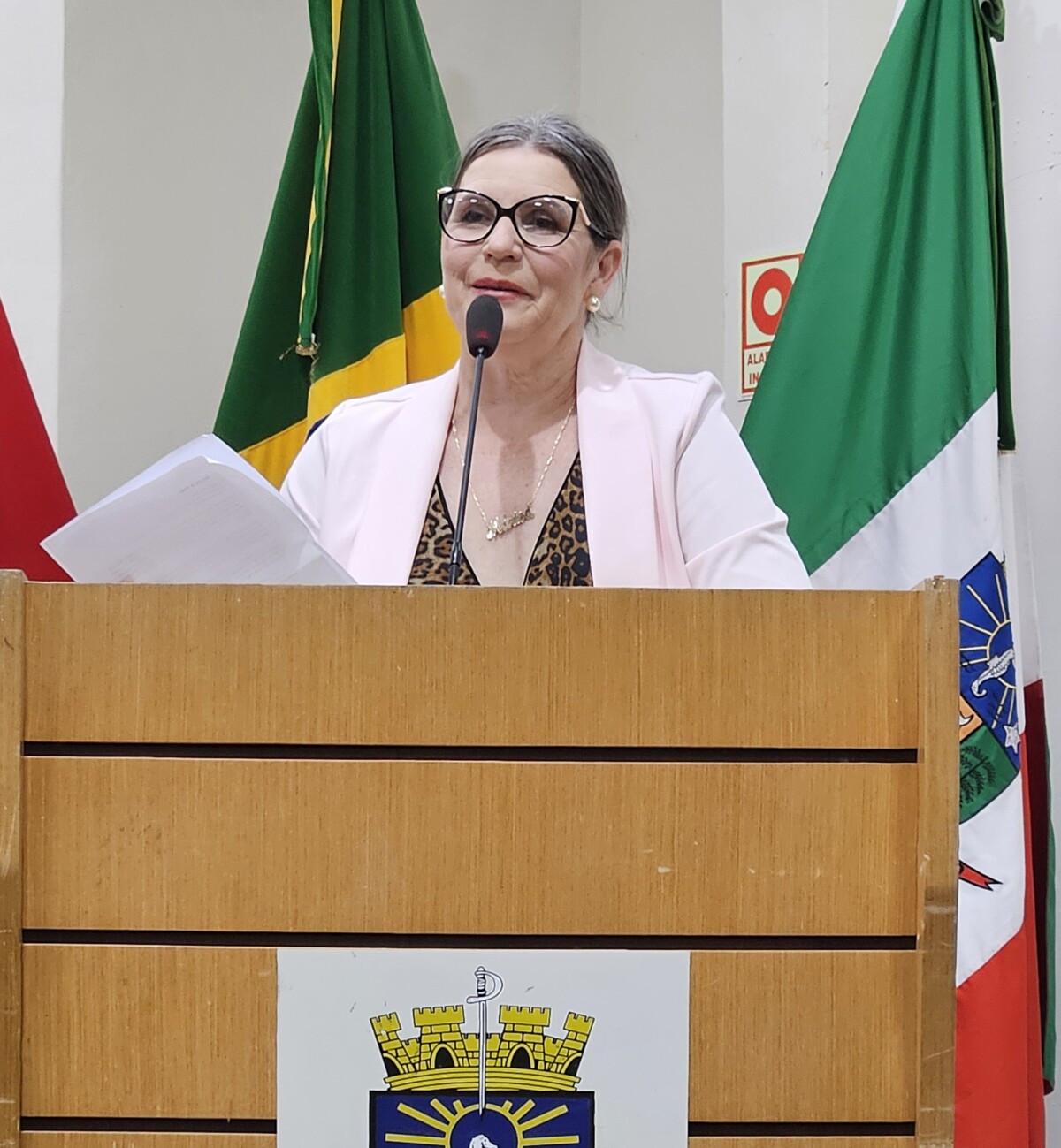 Vereadora Marisa durante pronunciamento.jpg